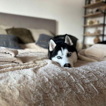 Apartman Freya Liptovský Mikuláš Exteriör bild
