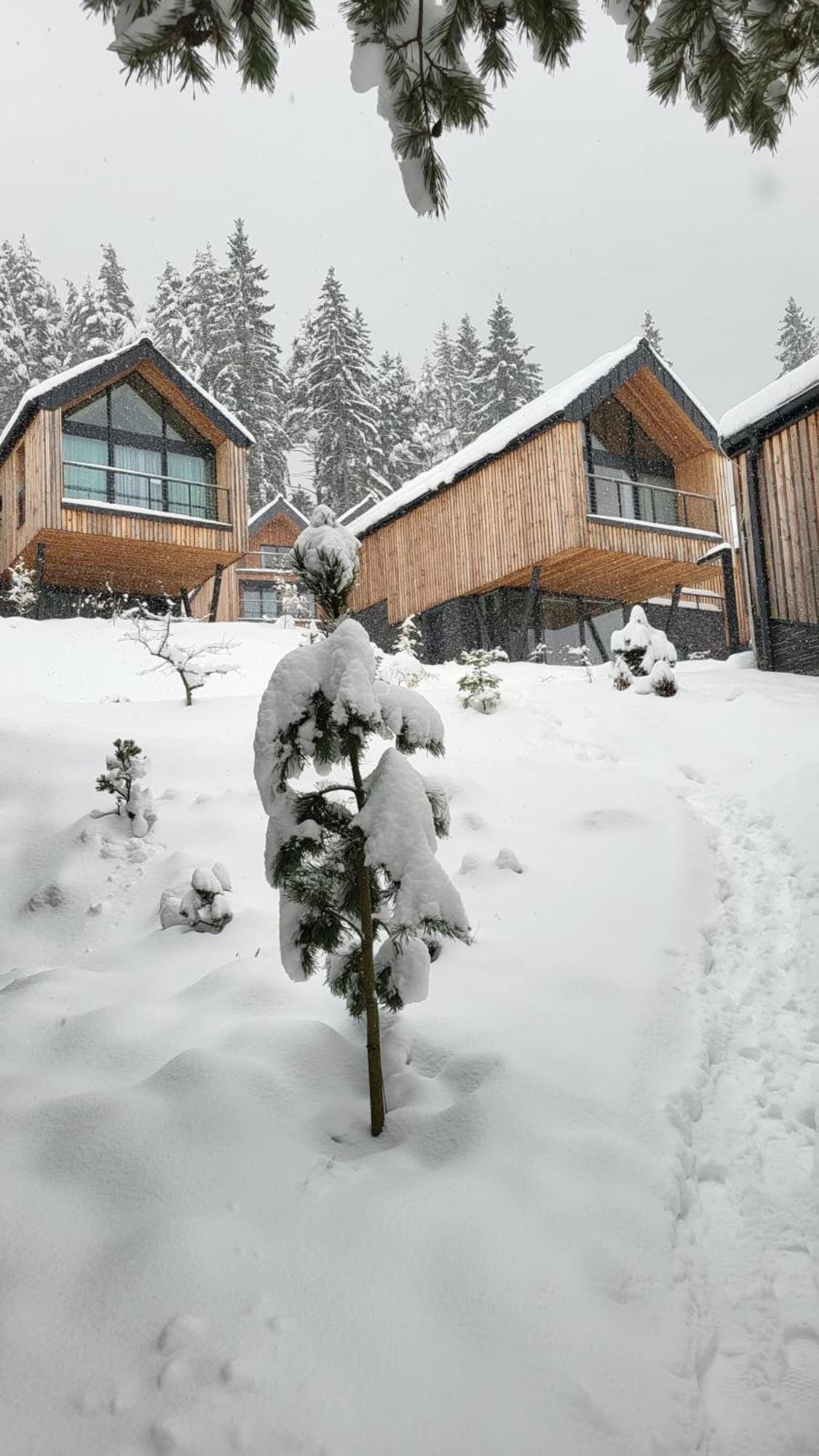 Apartman Freya Liptovský Mikuláš Exteriör bild